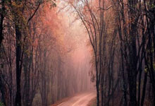 纷纷角逐！顶级球队争夺胜利荣耀