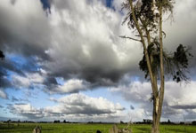 打破记录，中国选手风采无比：荣耀时刻，燃爆全场！