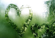 南非女足锋芒毕露，小组赛领跑，铿锵玫瑰绽放非洲大陆