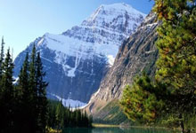 蓝色悲歌：大连一方主场溃败，连败阴霾下的挣扎与求索