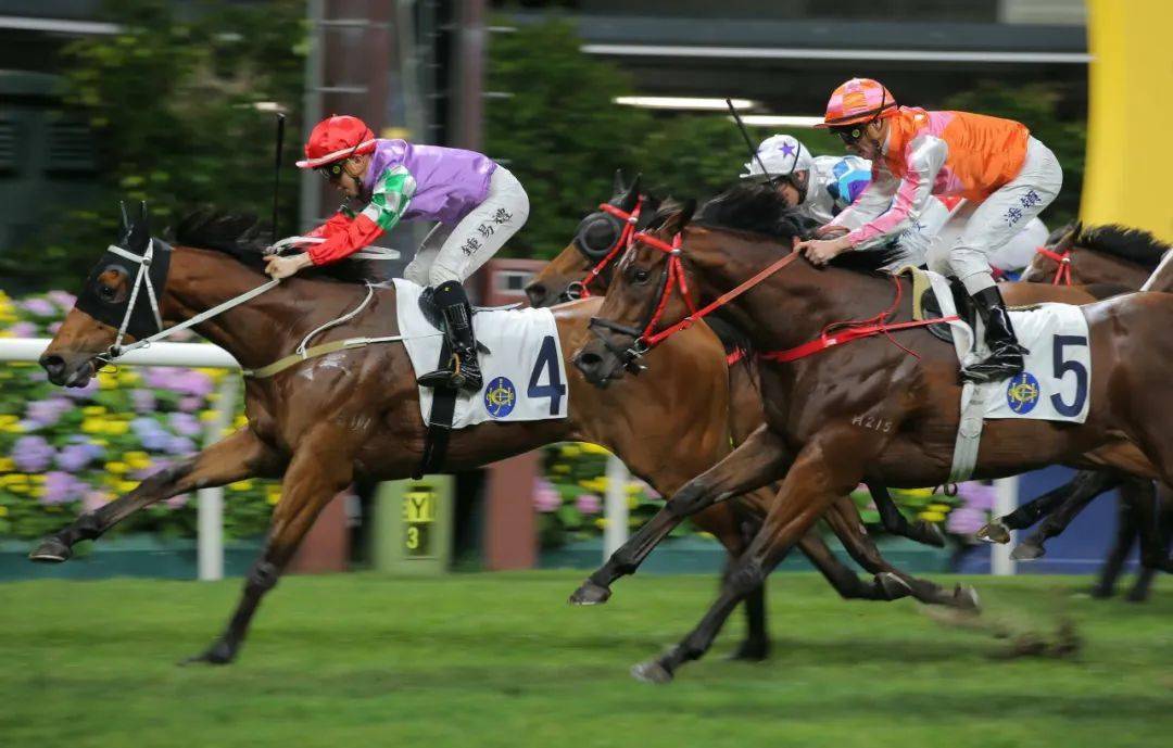 爱游戏体育链接-包含欧洲马术冠军团队势不可挡斩获金牌的词条