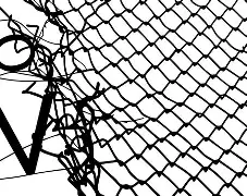 关于理想不减!雷根斯堡稳操胜券,再次夺魁的信息 关于理想不减!雷根斯堡稳操胜券,再次夺魁的信息