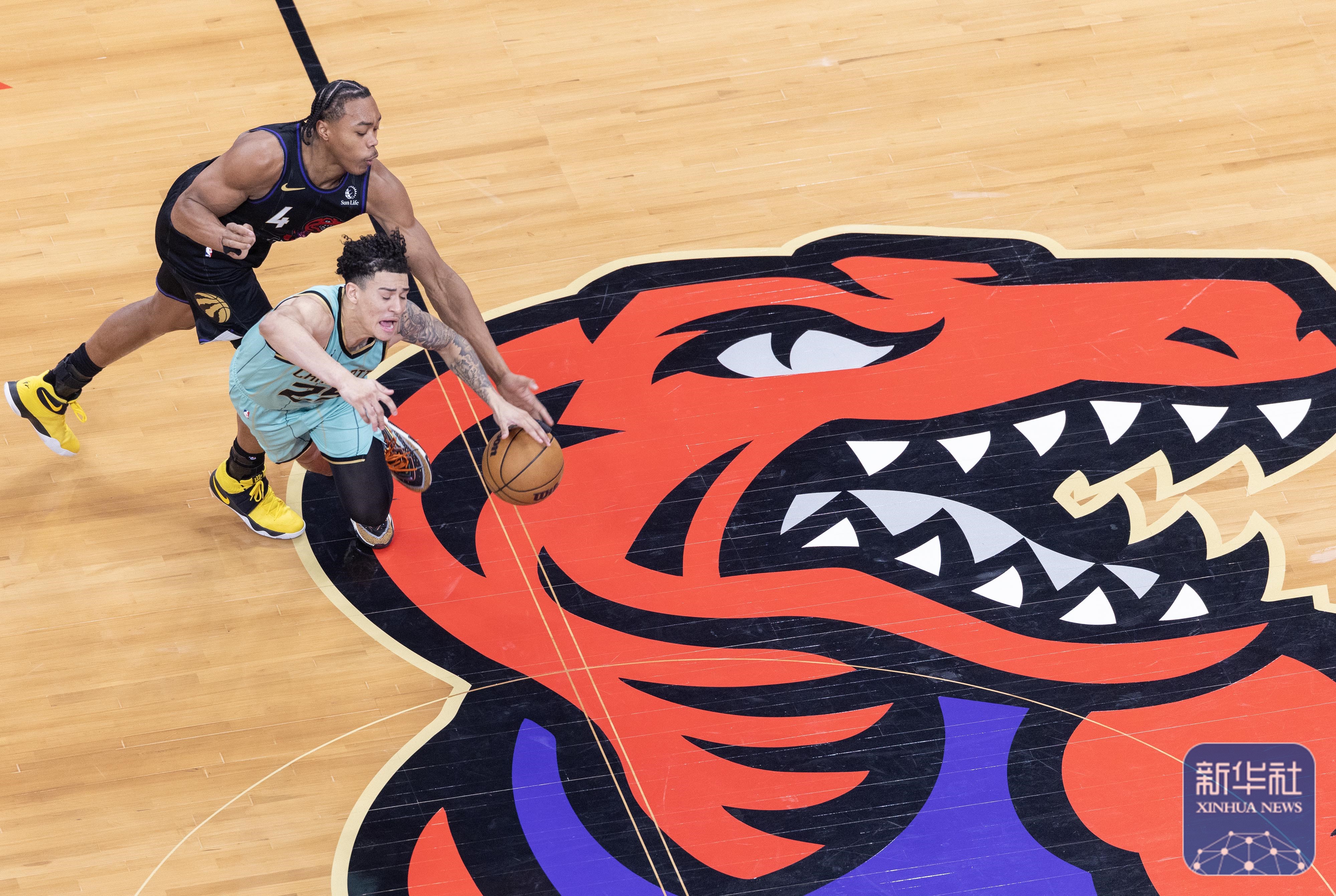 猛龙队战绩不俗,全队表现稳定让人眼前一亮!的简单介绍 猛龙队战绩不俗,全队表现稳定让人眼前一亮!的简单介绍