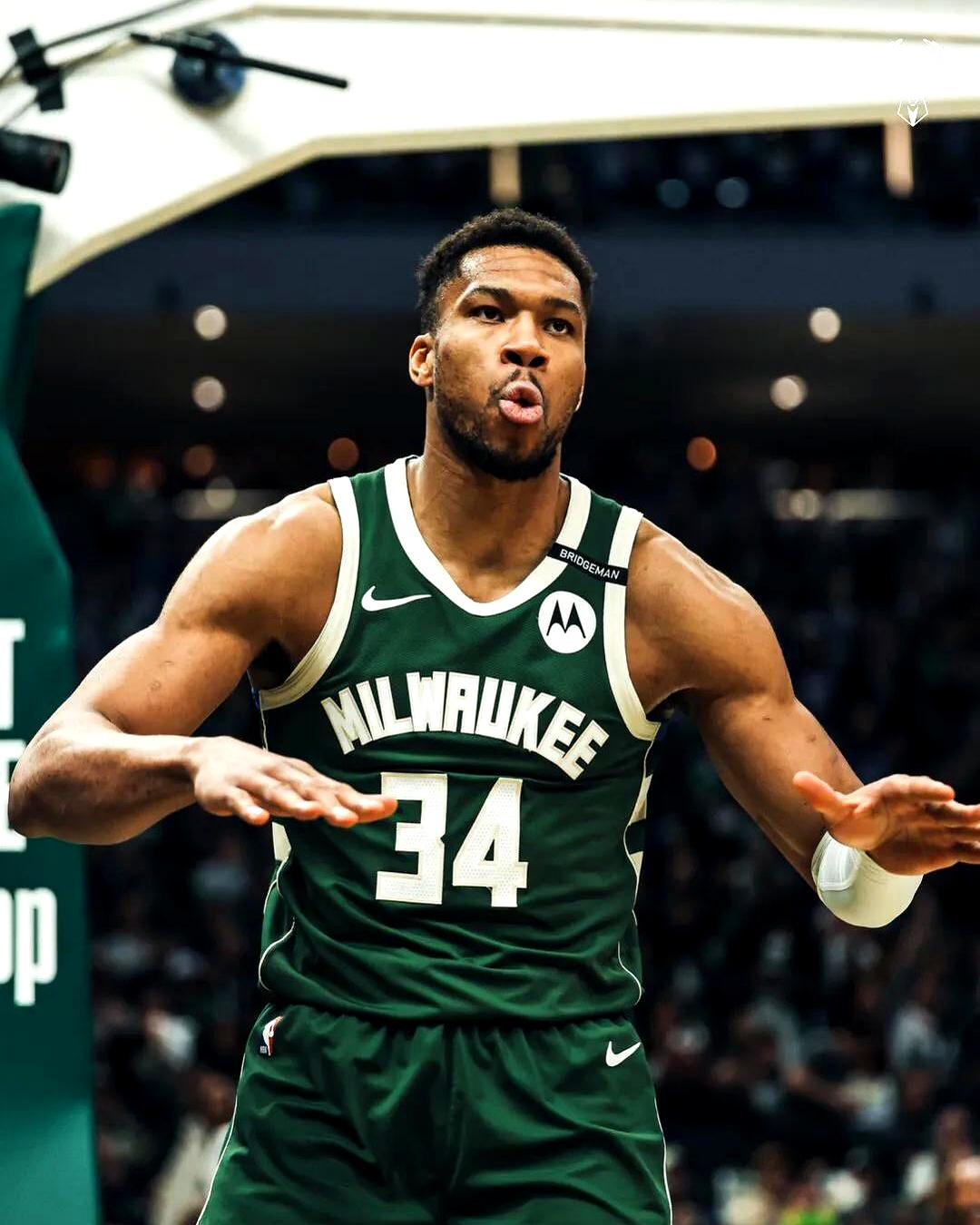 雄鹿主场险胜掘金，字母哥砍下关键三分的简单介绍