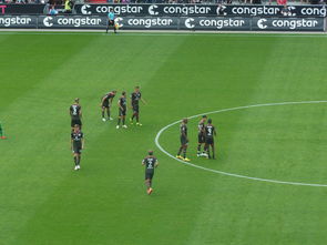 爱游戏网页版入口-汉堡队主场豪取胜利，击败柏林赫塔，汉堡球队最近比赛